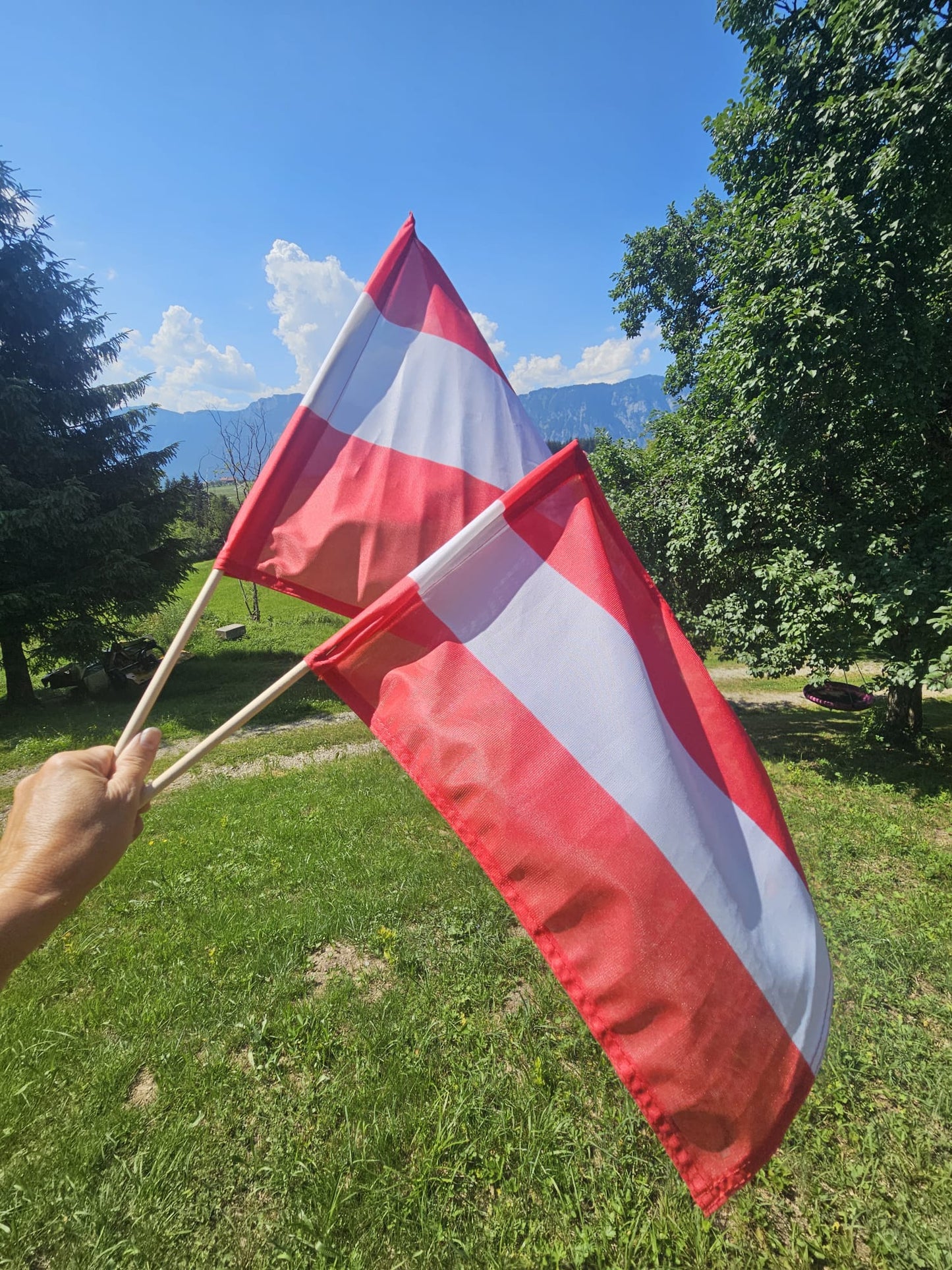 FAN Stockflagge Österreich für Motorsport und Events | racestore