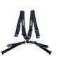 Schroth Profi II-FE 4-Punkt - II. Hand