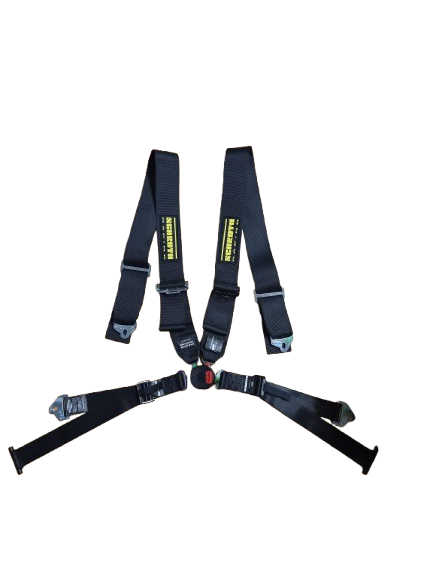 Schroth Profi II-FE 4-Punkt - II. Hand