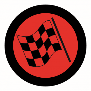Rally FIA shield